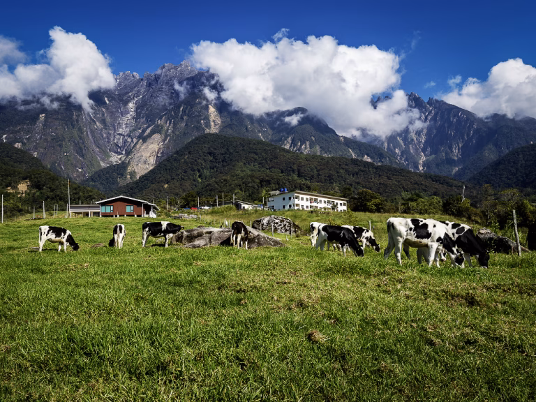 Kundasang Sabah Malaysia Travel Itinerary