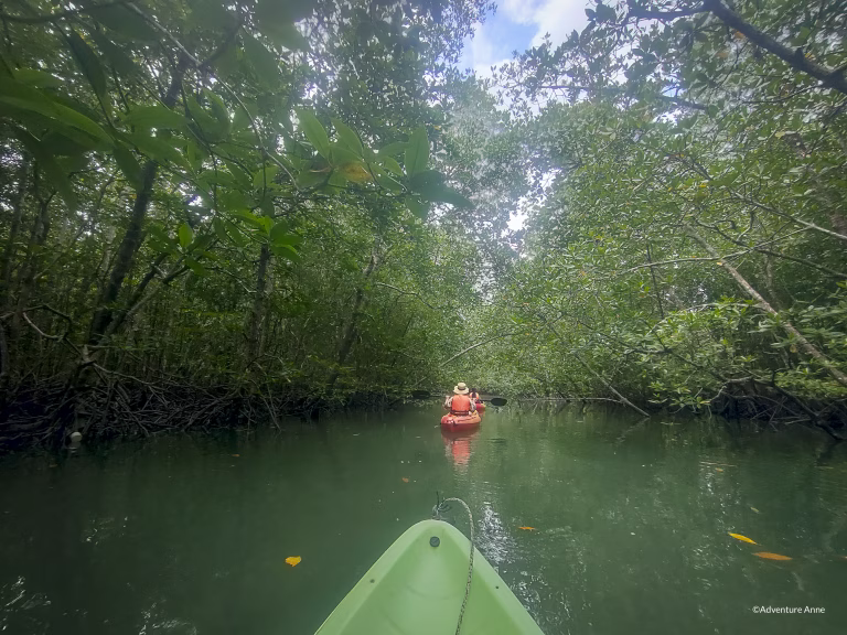 what to do in langkawi kubang badak kayaking